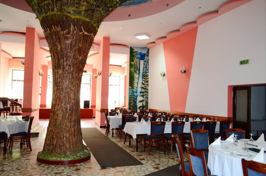 Hotel Bradul Durau Dış mekan fotoğraf