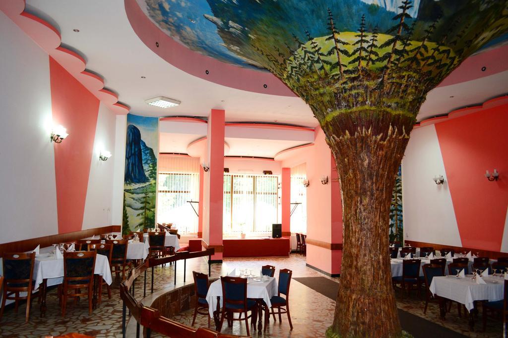 Hotel Bradul Durau Dış mekan fotoğraf